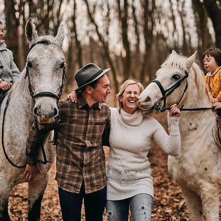 Tmbin'S Barn - Nature, Horses, Family 塞扎纳 外观 照片