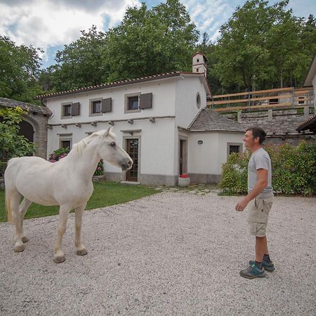 Tmbin'S Barn - Nature, Horses, Family 塞扎纳 外观 照片
