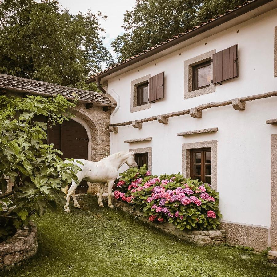Tmbin'S Barn - Nature, Horses, Family 塞扎纳 外观 照片