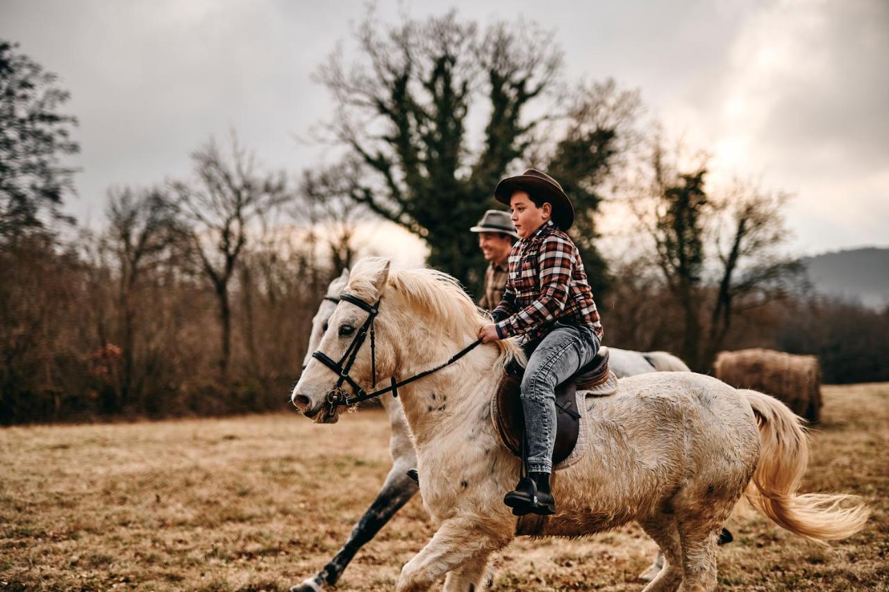 Tmbin'S Barn - Nature, Horses, Family 塞扎纳 外观 照片