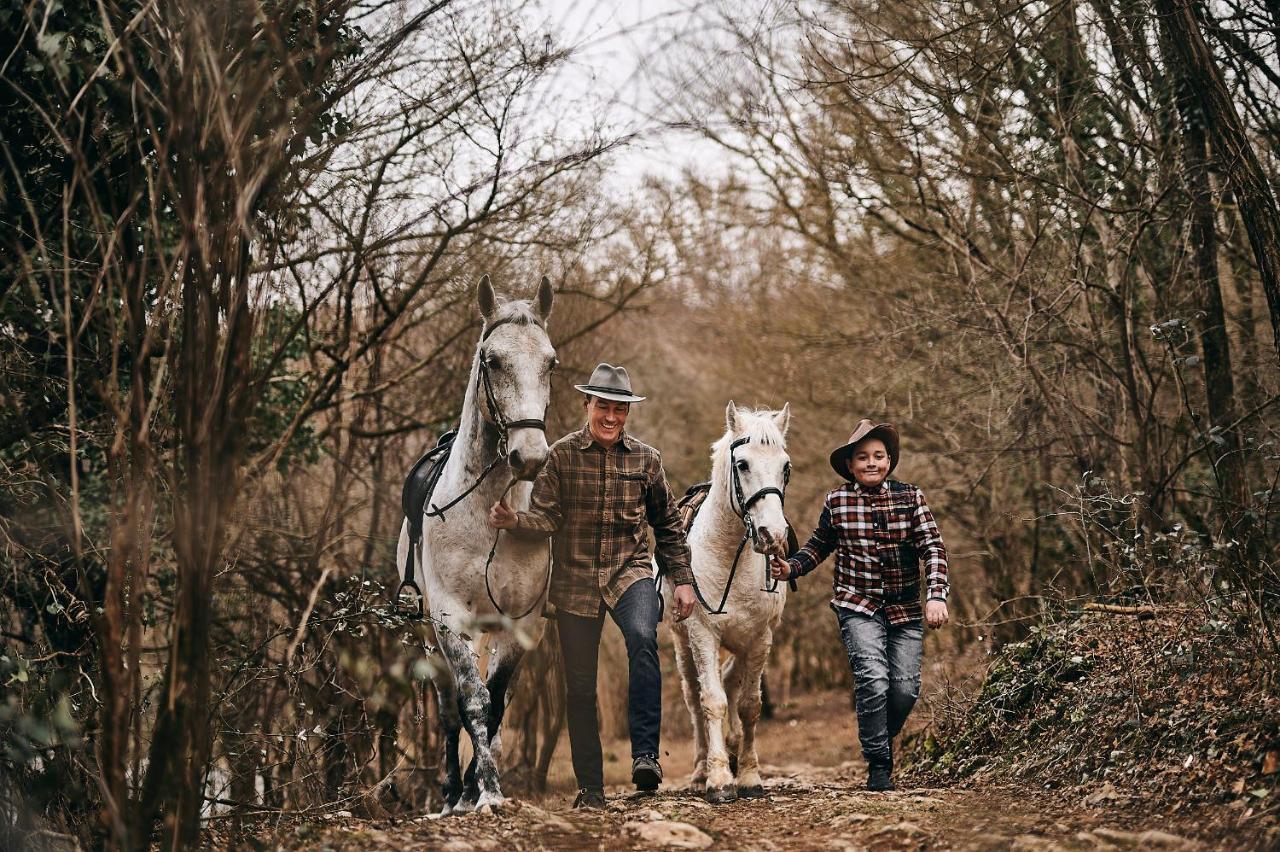 Tmbin'S Barn - Nature, Horses, Family 塞扎纳 外观 照片