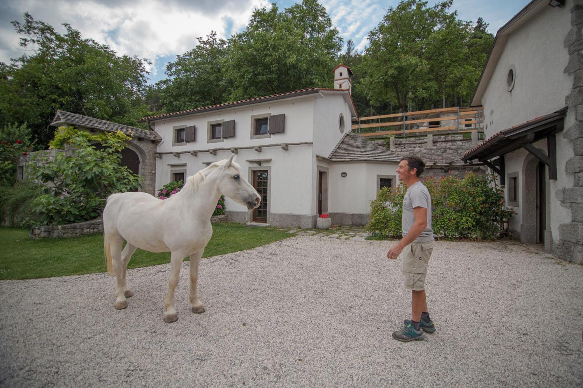 Tmbin'S Barn - Nature, Horses, Family 塞扎纳 外观 照片